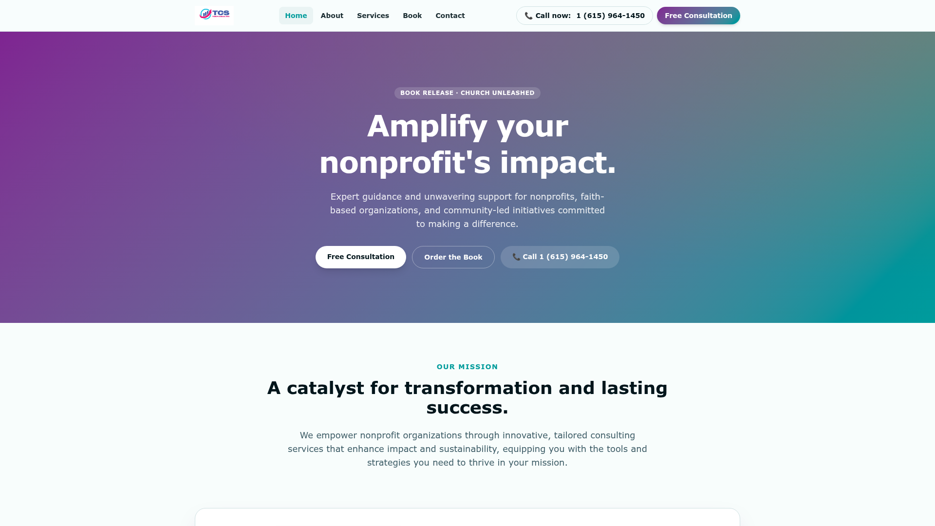 TCS Vision Consulting website preview